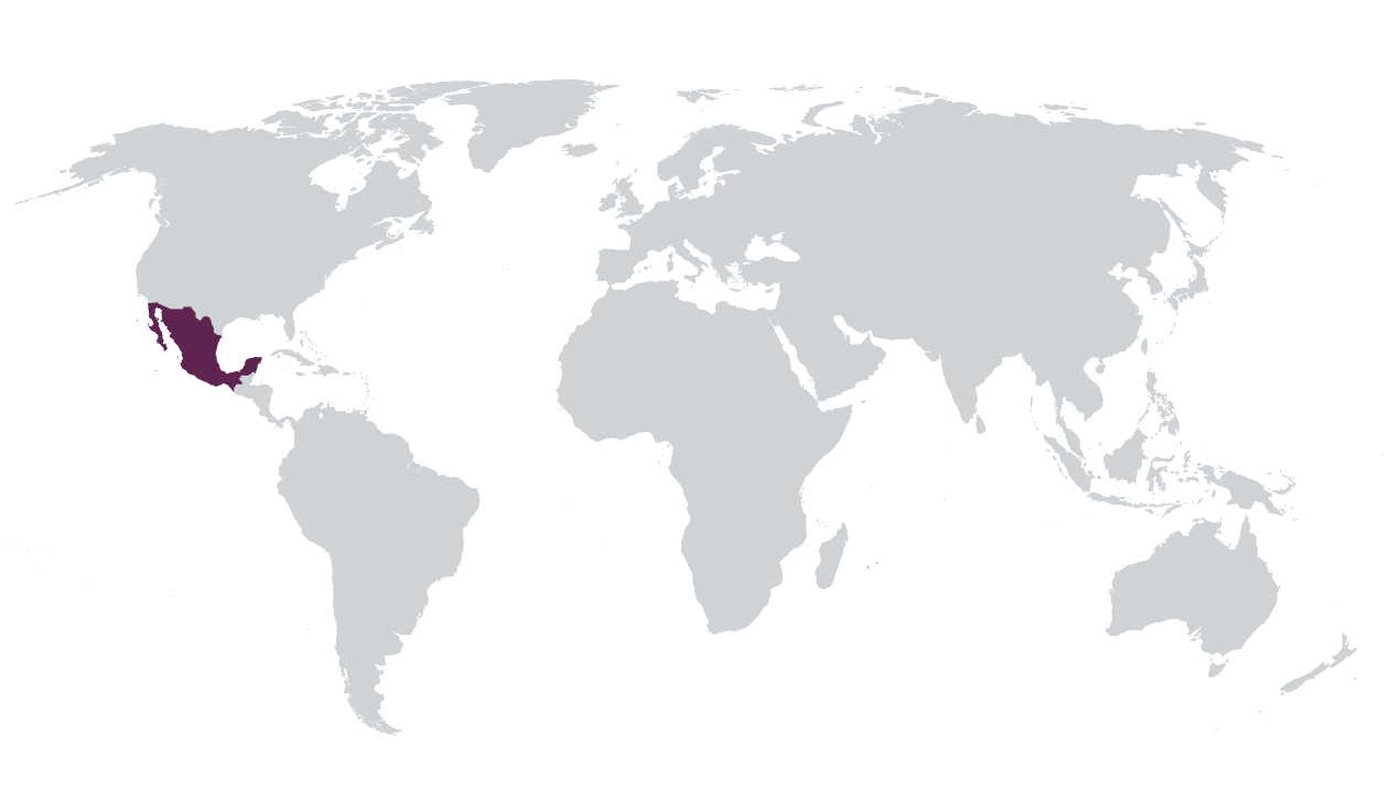 Latin America